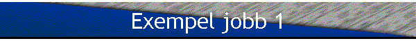 Exempel jobb 1
